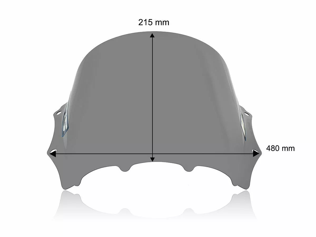 WRS - CUPOLINO RACE FUME' SCURO WRS BMW M 1000 RR 2023-2024