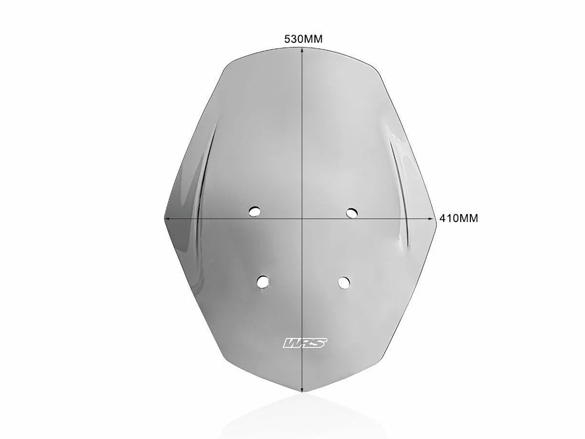 WRS - CUPOLINO TOURING FUME' WRS APRILIA SR GT 125 / 200 2022-2024