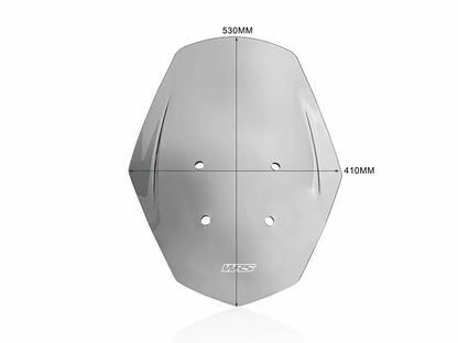 WRS - CUPOLINO TOURING FUME' WRS APRILIA SR GT 125 / 200 2022-2024