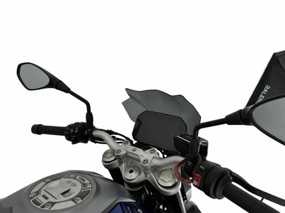 WRS - CUPOLINO TOURING FUME' SCURO WRS BMW F 900 R 2018-2024