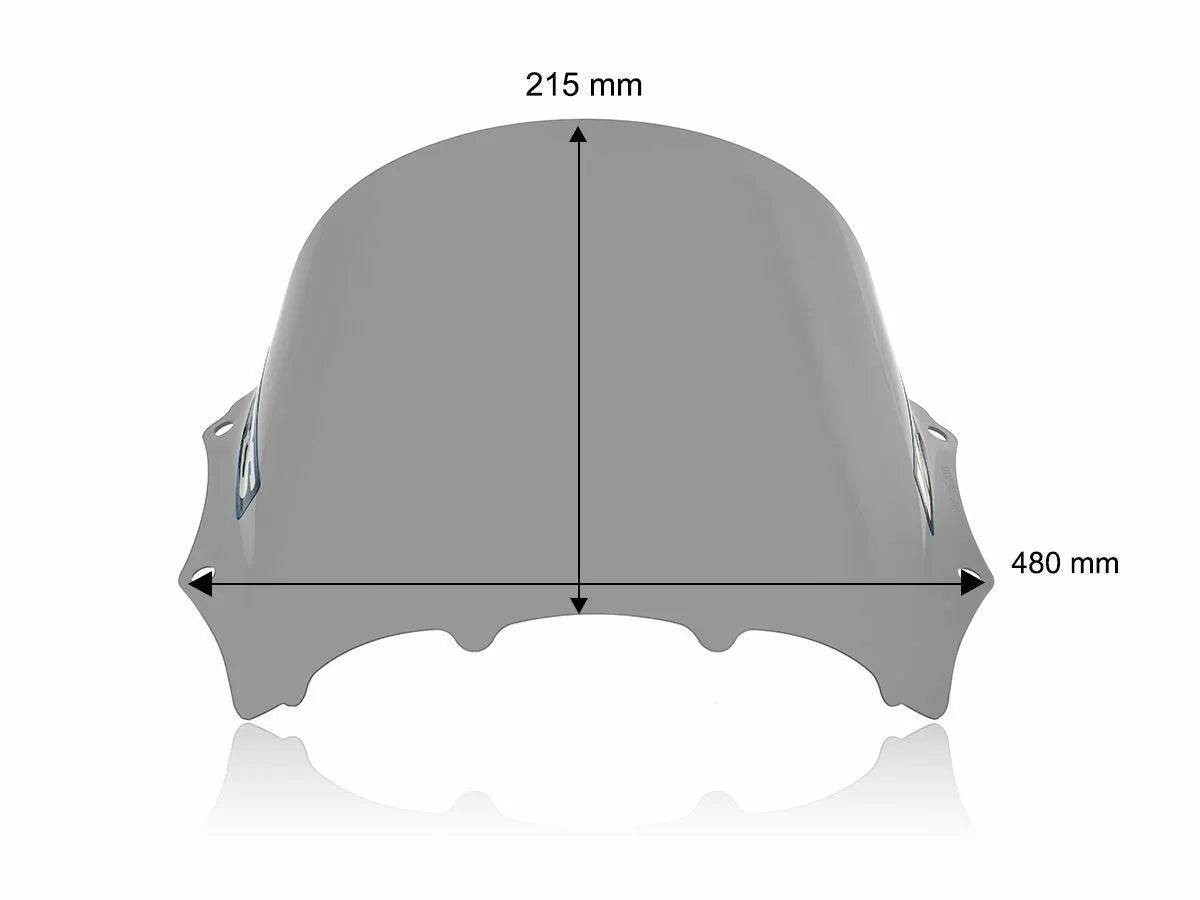 WRS - CUPOLINO RACE FUME' WRS BMW M 1000 RR 2023-2024